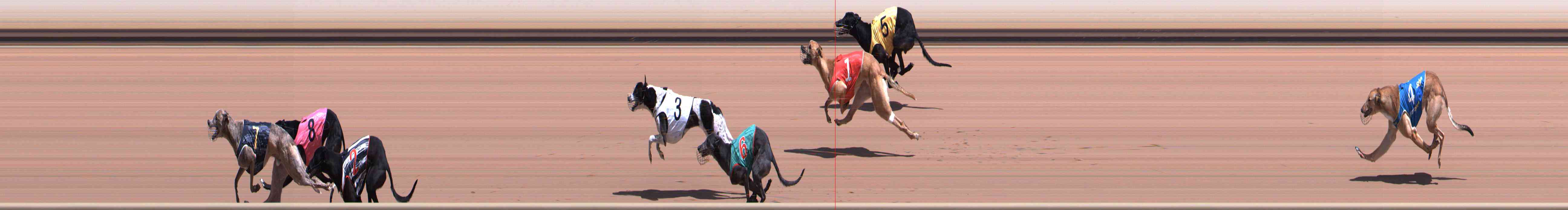 Race result finish photo